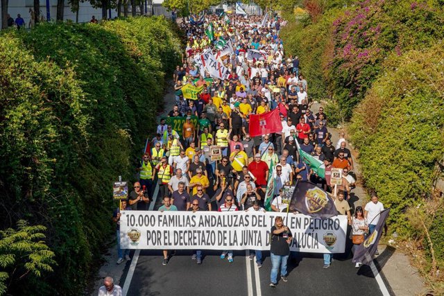 Concentración del sector del taxi en la parada del Estadio de la Cartuja, imagen de archivo