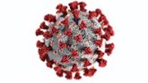 Foto: Este es el nuevo virus descubierto capaz de infectar como el SARS-CoV-2