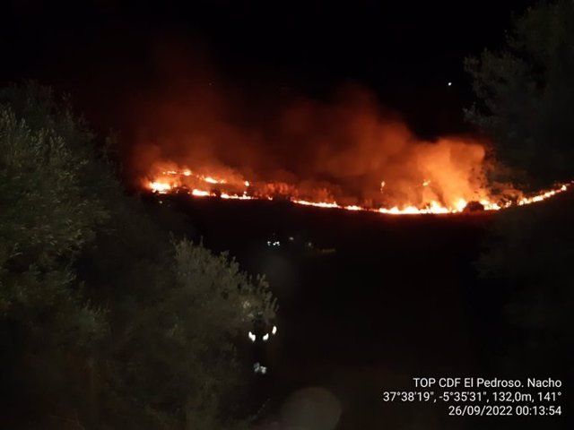 Controlado de madrugada un incendio forestal en un paraje de Lora del Río (Sevilla)