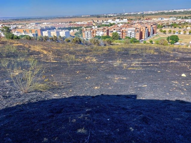 Incendio declarado en el Cerro del Carambolo.