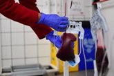 Foto: Un nuevo descubrimiento podría impulsar la producción de plaquetas para combatir la escasez de sangre