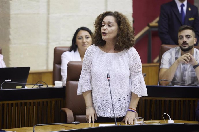 La portavoz del Grupo Por Andalucía, Inmaculada Nieto, en una foto de archivo en el Parlamento andaluz.