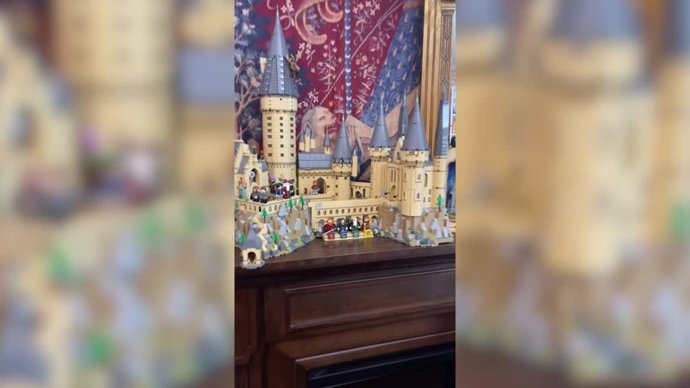 Esta es la increíble colección de Harry Potter de esta fan