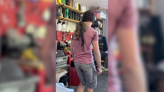 Este mecánico arregla un coche con ayuda de su gato