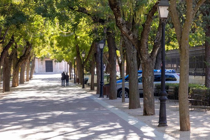 El Paseo de San Roque de Guadalajara.