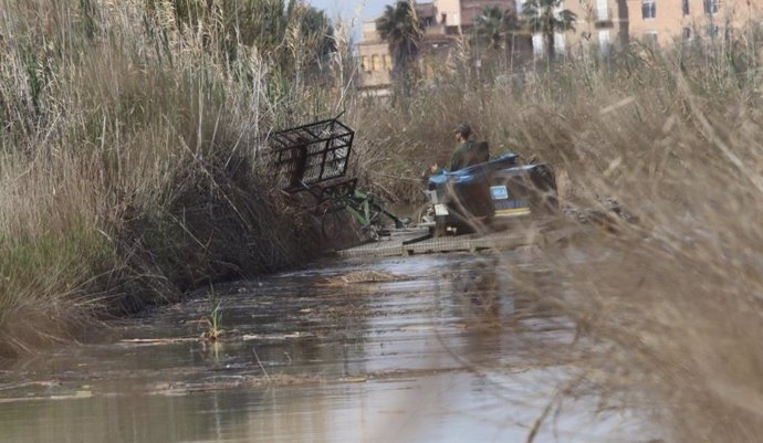El Ayuntamiento de Valncia acaba de adjudicar por un importe de 1,4 millones de euros la mayor actuación de dragado de los canales de desagüe de l'Albufera desde su construcción