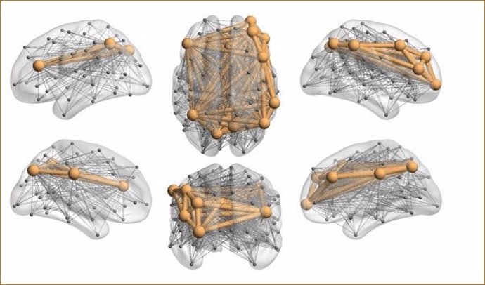 El efecto del estrés percibido y las estrategias de afrontamiento también dependen de la configuración del estado de las redes cerebrales antes del inicio de la pandemia