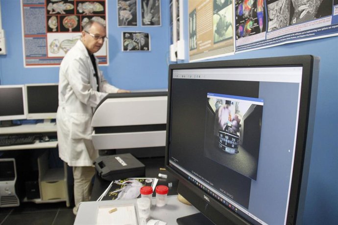 Trabajo con el microtomógrafo