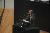 Vox matiza que sí se abre a negociar presupuestos con una moratoria, no derogación, de la ordenanza de Movilidad