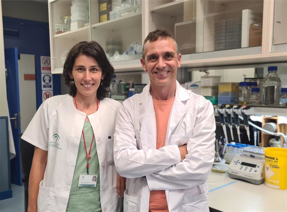 [Comunicacion.Csic.Andalucia] Ndp La Molécula Del Origen De La Vida Clave En La Investigación Contra El Cáncer