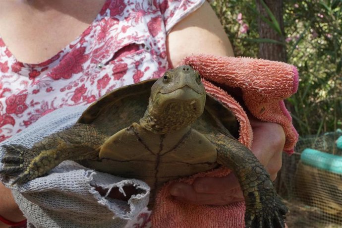 Proyecte Emys de Acción Ecologista-Agró