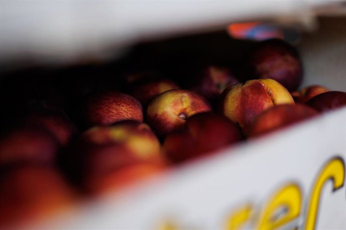 Una caja de nectarinas en el banco de alimentos del Colegio San Fernando, a 16 de septiembre de 2022, en Madrid (España).