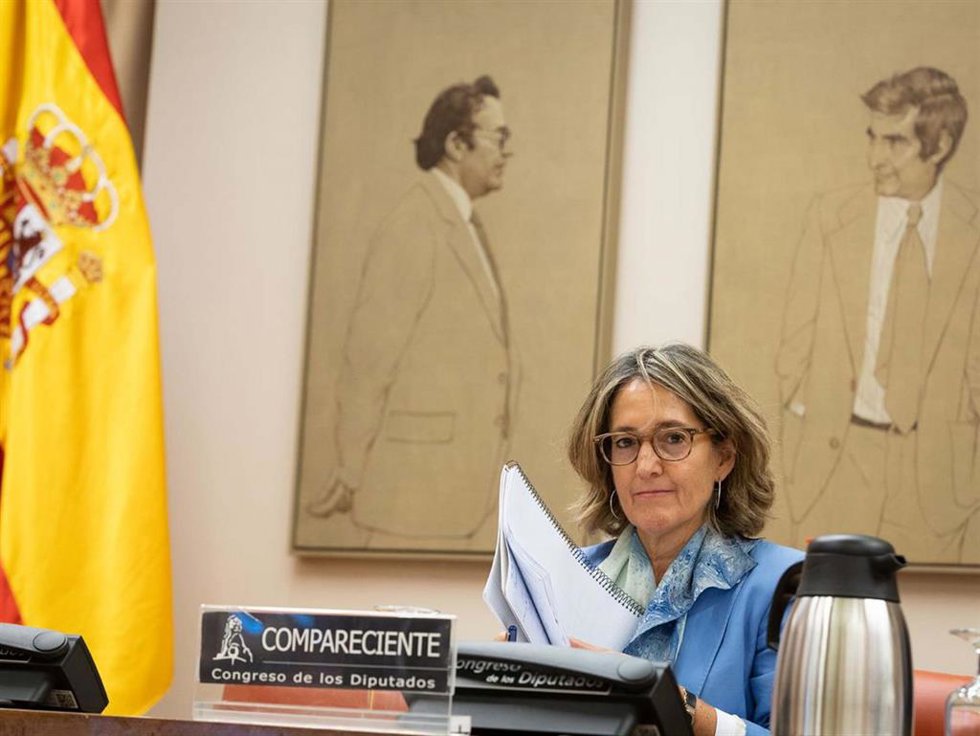 María Jesús Martín, candidata propuesta por el Gobierno para consejera de la CNMC, comparece ante la Comisión de Asuntos Económicos del Congreso