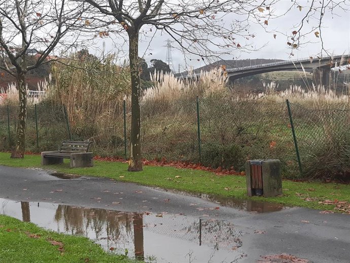 Archivo - Lluvia en Bizkaia