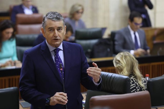 Antonio Sanz, este jueves ante el Pleno del Parlamento