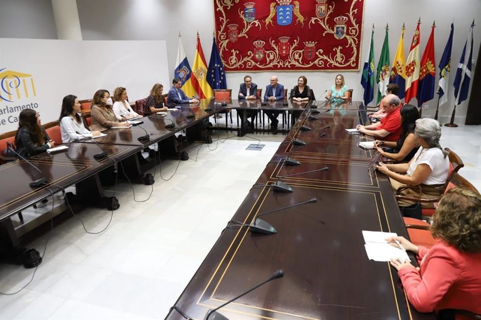 Reunión en el Parlamento de Canarias