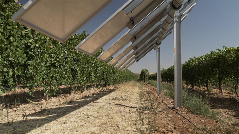 Proyecto Winesolar de Iberdrola en Toledo