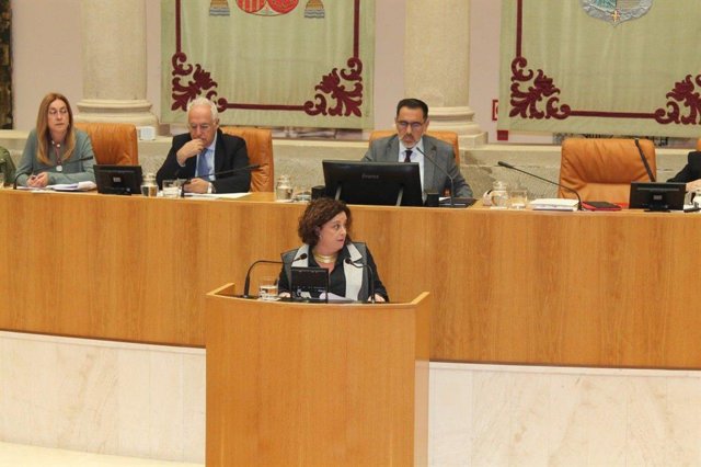 La diputada de IU, Henar Moreno