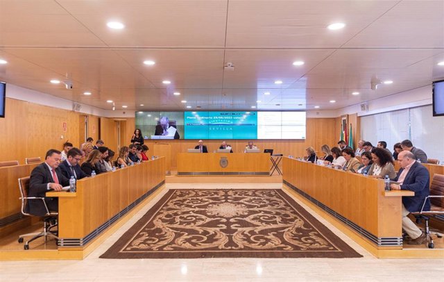 Pleno ordinario celebrado este jueves en la Diputación.