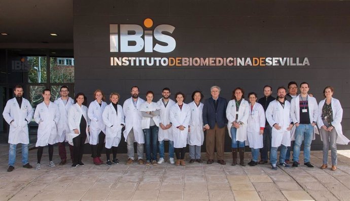 Investigadores del IBiS describen el mecanismo mediante el que se detecta el oxígeno de la sangre