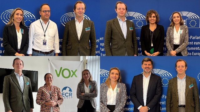 FEDIFAR traslada a los eurodiputados españoles sus propuestas para la revisión de la Legislación Farmacéutica de la UE