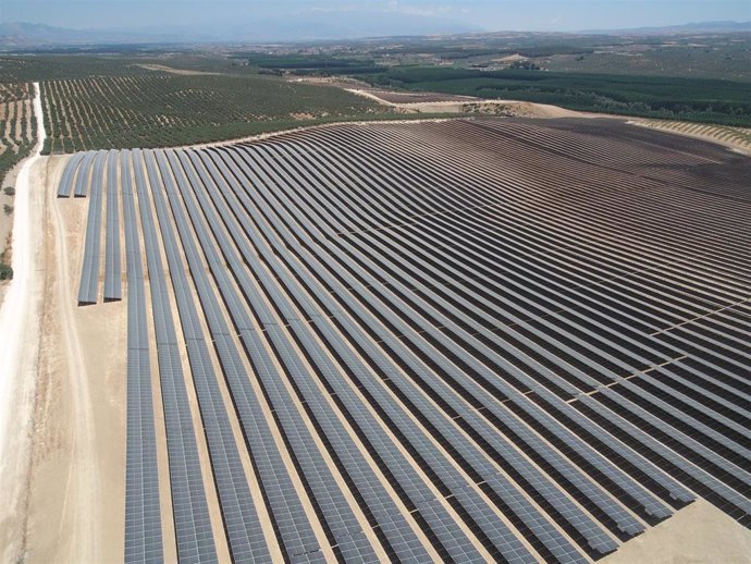 Inaugurado el Parque Solar Pinos Puente de Verbund.