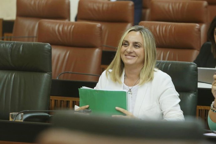 La consejera de Fomento, Marifrán Carazo, en el Parlamento 