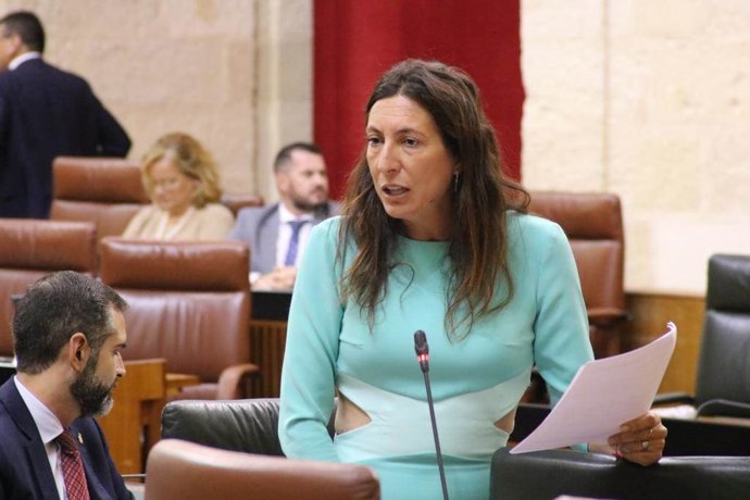 La consejera Loles López, durante su intervención en el pleno ordinario en la Cámara andaluza.