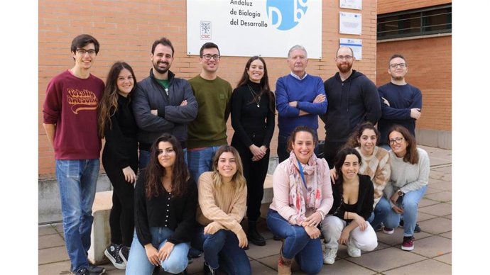 El equipo científico de la Universidad Pablo de Olavide (UPO) dirigido por el doctor José Antonio Sánchez.