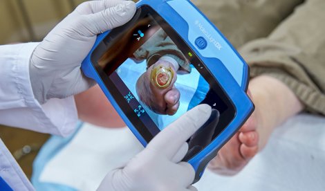 Comunicados Internacional