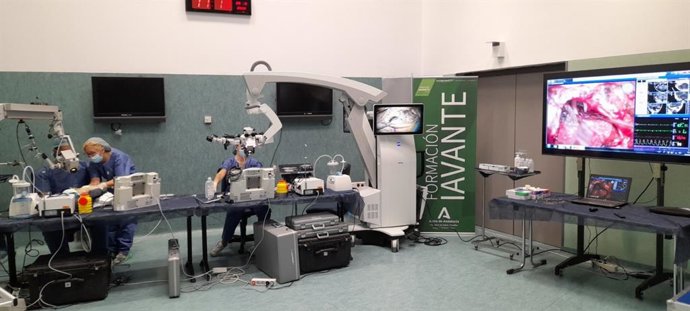 Máster en Neurocirugía Funcional y Estereotáctica