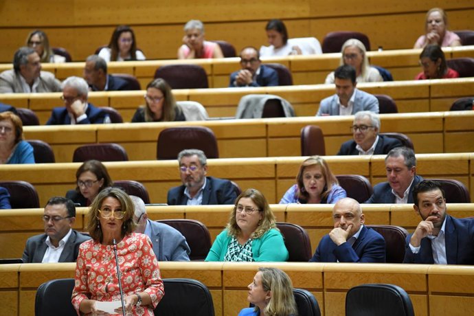 La vicepresidenta tercera y ministra para la Transición Ecológica, Teresa Ribera, interviene durante una sesión de control al Gobierno en el Senado, a 20 de septiembre de 2022, en Madrid (España). El Senado celebra la primera sesión de control al Gobier