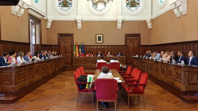 Pleno ordinario de la Diputación de Jaén.