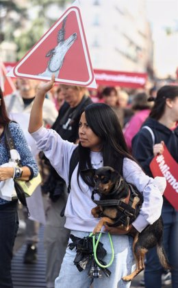 Una mujer con su perro durante una protesta contra la enmienda del PSOE de excluir a los perros de caza de la Ley de Protección animal, a 30 de septiembre de 2022, en Madrid (España). 