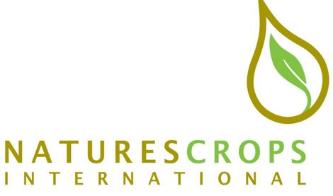 Comunicados Internacional