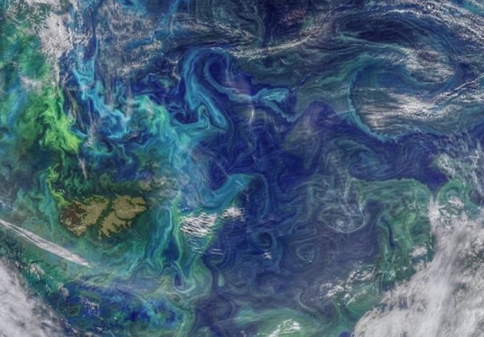 Los remolinos oceánicos son los equivalentes marinos de los ciclones y transportan grandes cantidades de calor por todo el planeta.