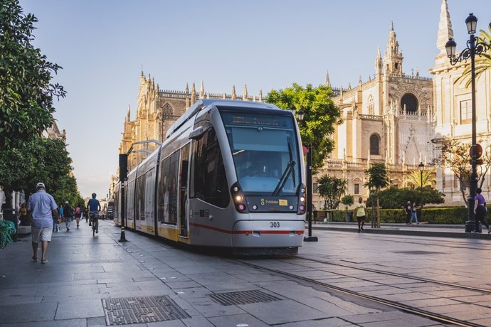 Un tranvía, a su paso por la avenida de la Constitución.