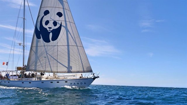 El velero de WWF Blue Panda