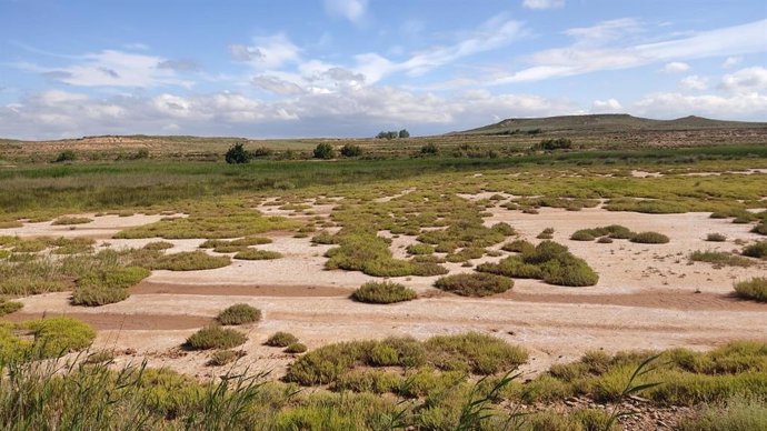 Estepa salina de Confín