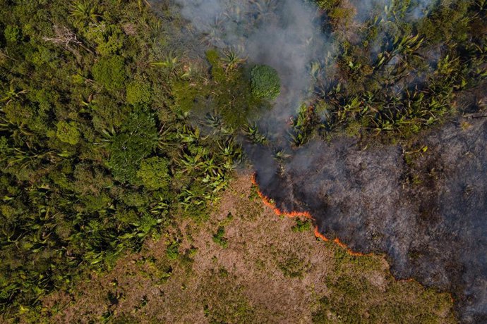 Archivo - Incendio en el Amazonas