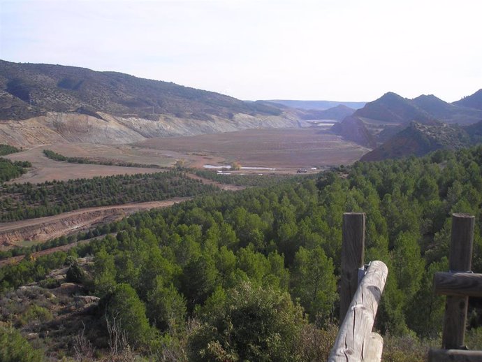 Archivo - Mina de carbón de Endesa. Zona repoblada de pinos y zona preparada para la plantación.