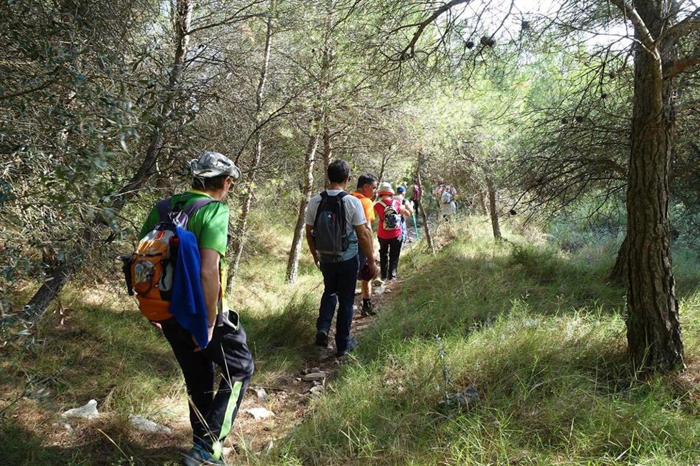 Diputacion Alicante Programa Senderismo