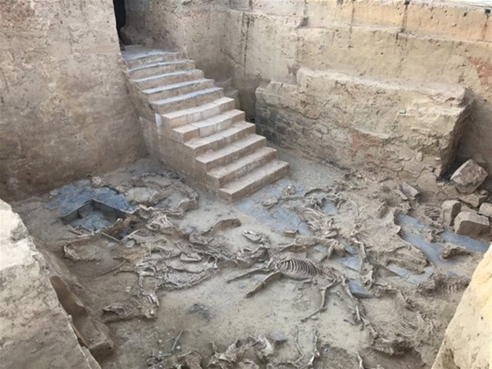 Excavaciones en el Turuñuelo