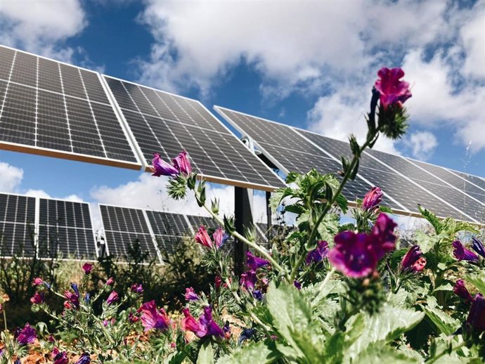 Cluster fotovoltaico