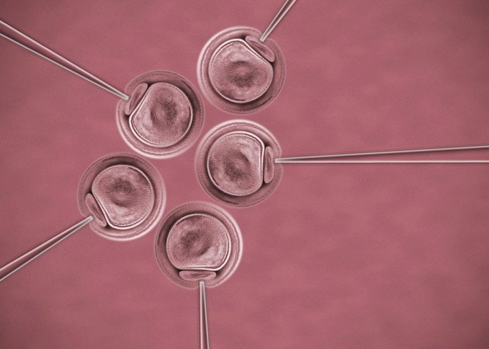 Artificial insemination on human eggs cells