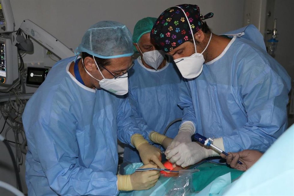 Archivo - Sanitarios, Servicio Andaluz de Salud (SAS), foto de recurso