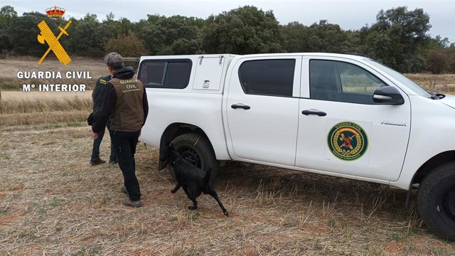 Parte del operativo desplegado con motivo del hallazgo de veneno en espacios naturales de la provincia de Salamanca.