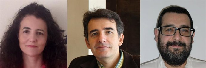 Archivo - De izquierda a derecha, Sofía González, Fernando Pavón y Sergio Cedena, al frente del Consejo Municipal de la agrupación local de Más País Andalucía en Sevilla. (Foto de archivo).