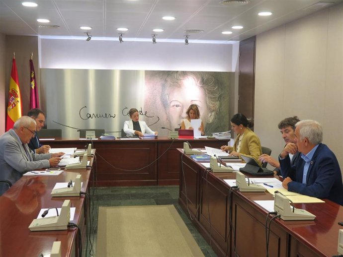 Imagen de la reunión de la Ponencia de la Comisión de Economía, Hacienda y Presupuesto