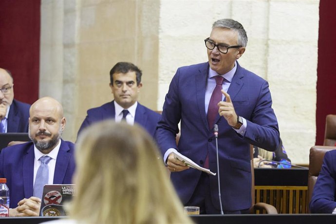 El portavoz de Vox, Manuel Gavira, en una imagen del último Pleno del Parlamento.